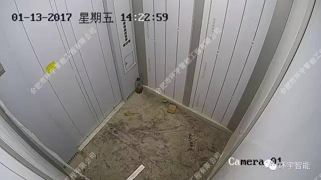 1733283069115230.png 圖片 10.png