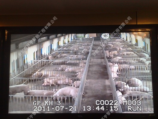 1733376322803575.jpg 1.jpg